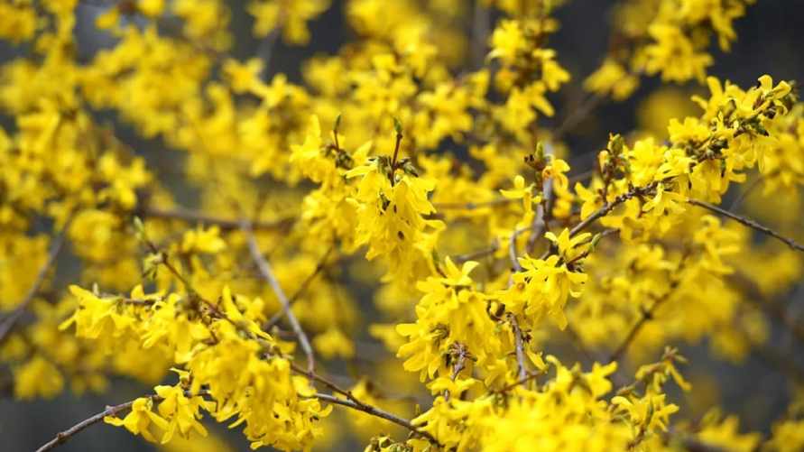 Фото иллюстрационное