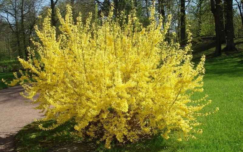 Фото иллюстрационное