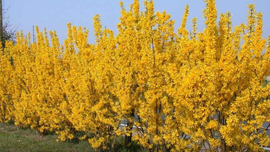 Фото иллюстрационное