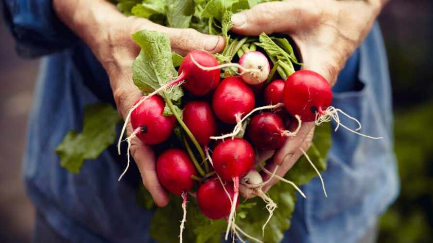 Фото иллюстрационное