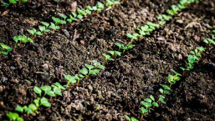 Фото иллюстрационное