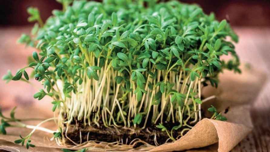 Фото иллюстрационное