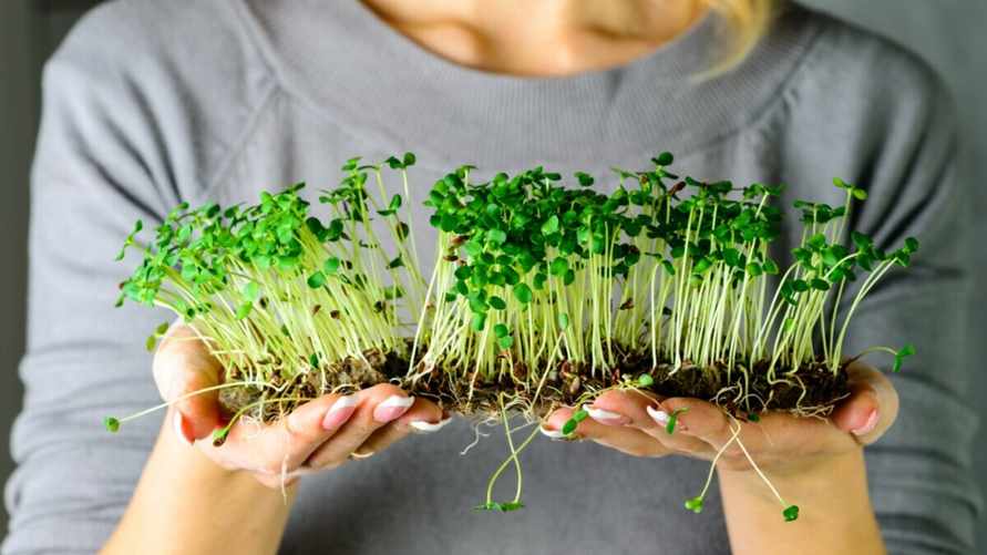 Фото иллюстрационное