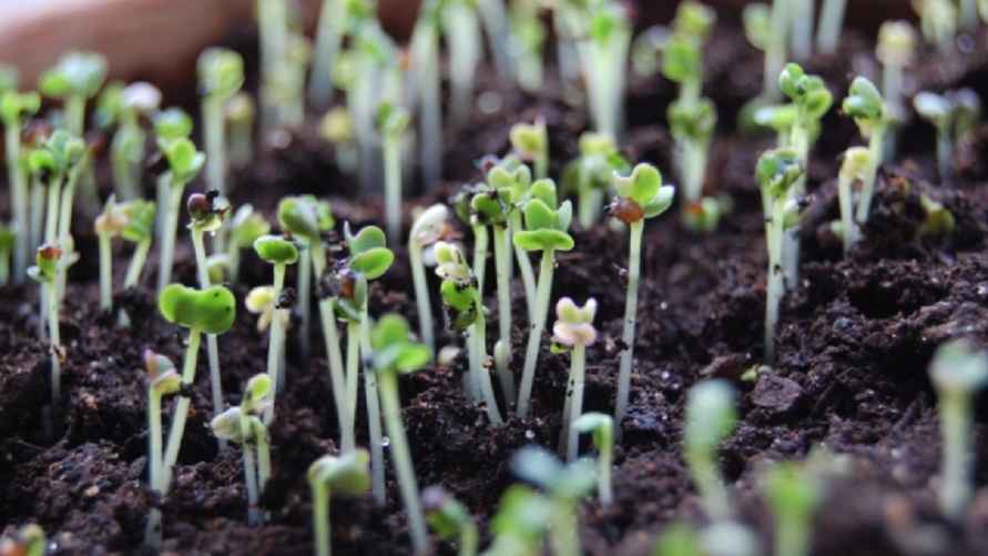 Фото иллюстрационное