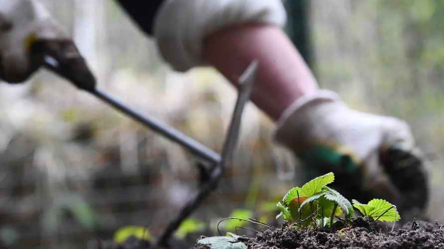 Фото иллюстрационное