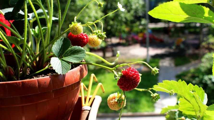 Фото иллюстрационное