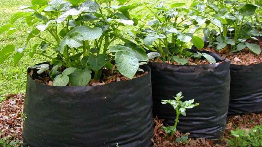 Фото иллюстрационное