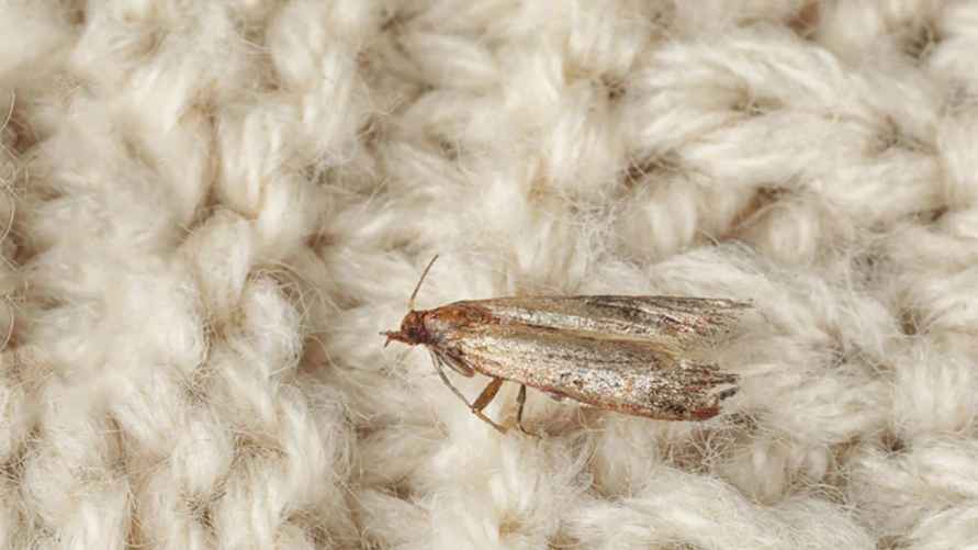 Фото иллюстрационное