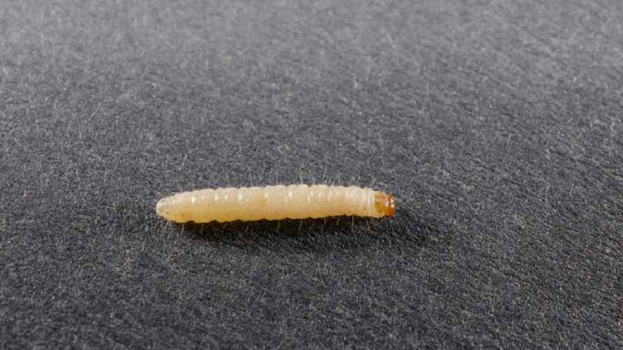 Фото иллюстрационное