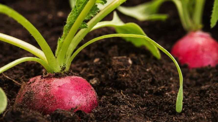 Фото иллюстрационное