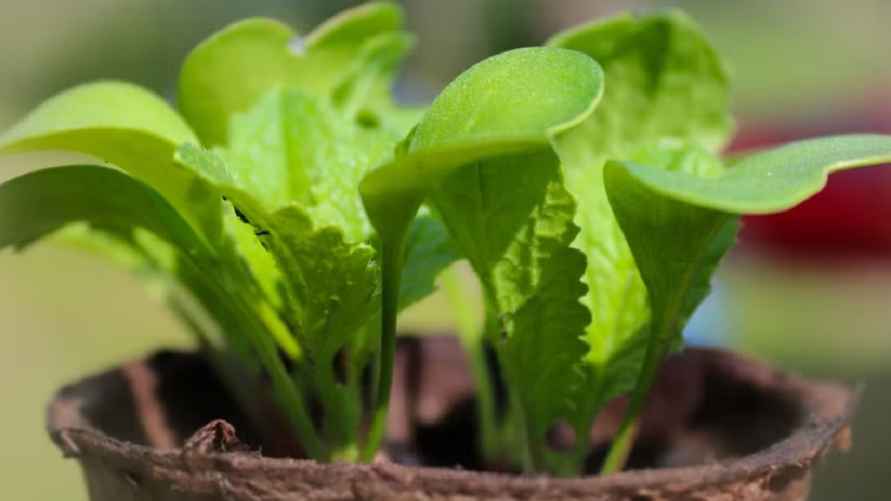 Фото иллюстрационное