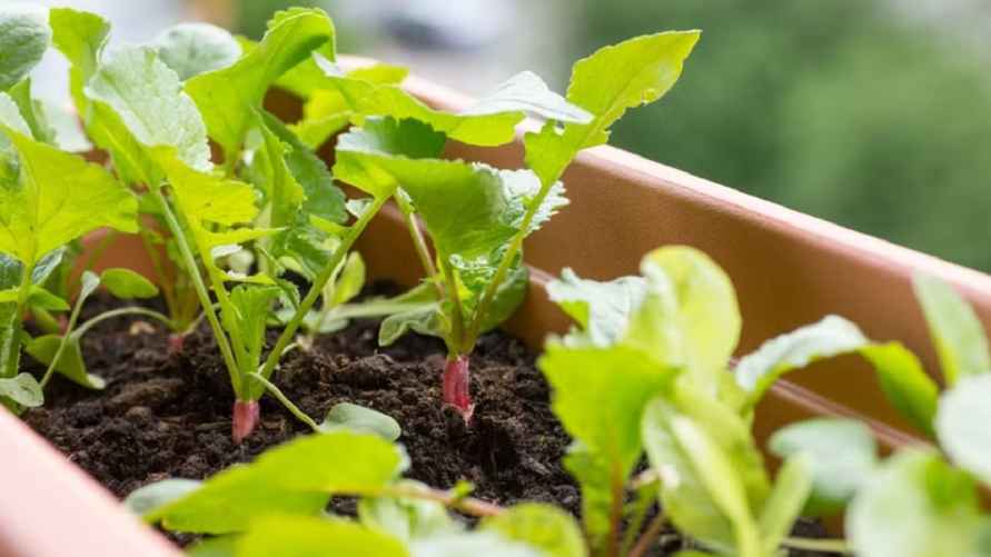 Фото иллюстрационное