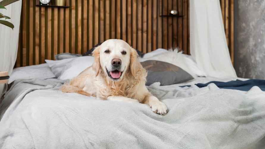 Фото иллюстрационное