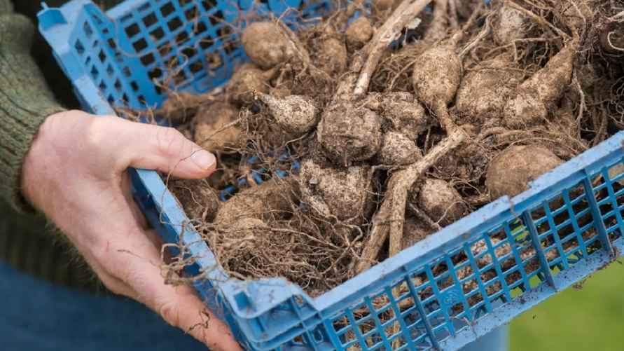 Фото иллюстрационное