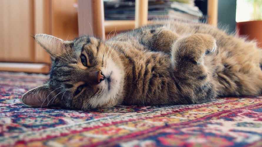 Фото иллюстрационное