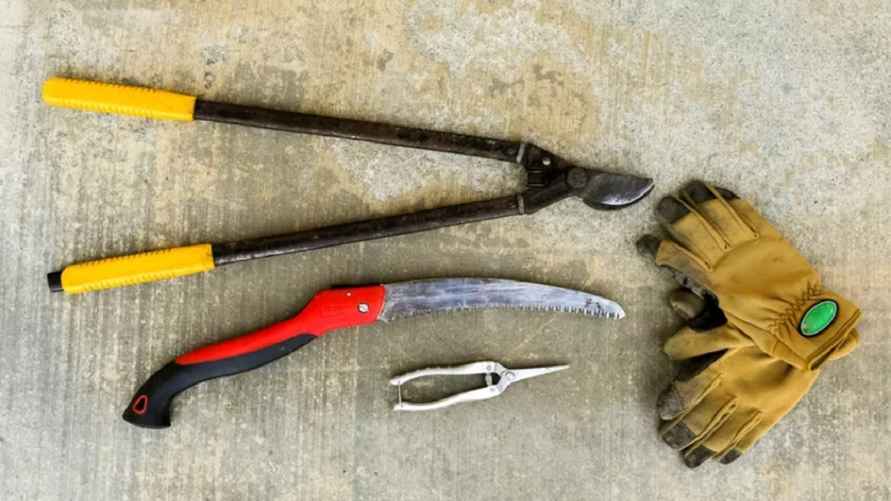 Фото иллюстрационное