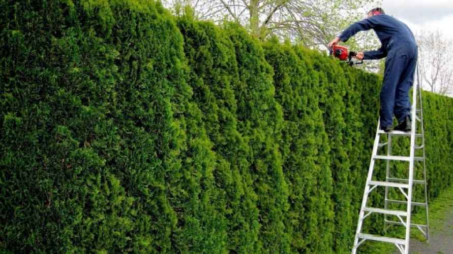 Фото иллюстрационное