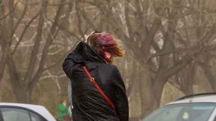 Ветер до 72 км/ч. Синоптики на два дня объявили оранжевый уровень опасности по всей Беларуси