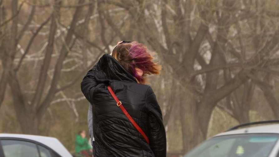 Фото иллюстрационное: NGS55.RU