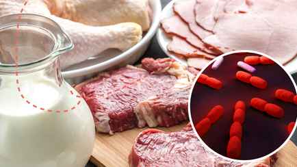 Листерии в утке, ветпрепарат в говядине. Россельхознадзор взял под усиленный контроль продукцию 4 компаний из Беларуси