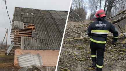 Штормовой ветер повредил крыши домов и школ на Могилёвщине, без света оставались 223 деревень и посёлков по всей Беларуси