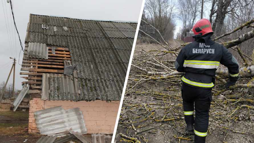 Штормовой ветер повредил крыши домов и школ на Могилёвщине, без света оставались 223 деревень и посёлков по всей Беларуси