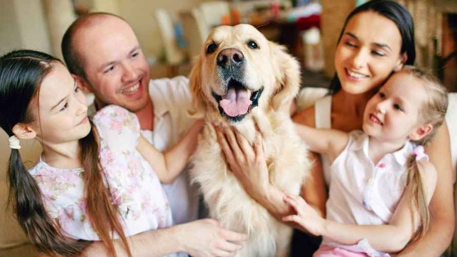 Фото иллюстрационное