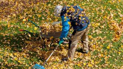 В МинЖКХ Беларуси назвали даты республиканских субботников в 2025 году