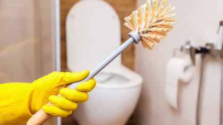 Как часто нужно мыть и менять туалетный ёршик? Эксперт рассказала, что делать, чтобы не оставался мокрым