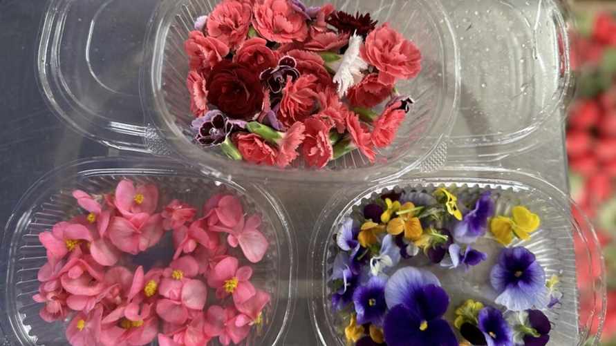 Фото: "Минская правда"