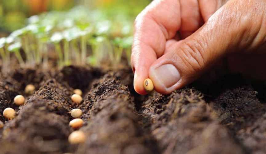 Фото иллюстрационное