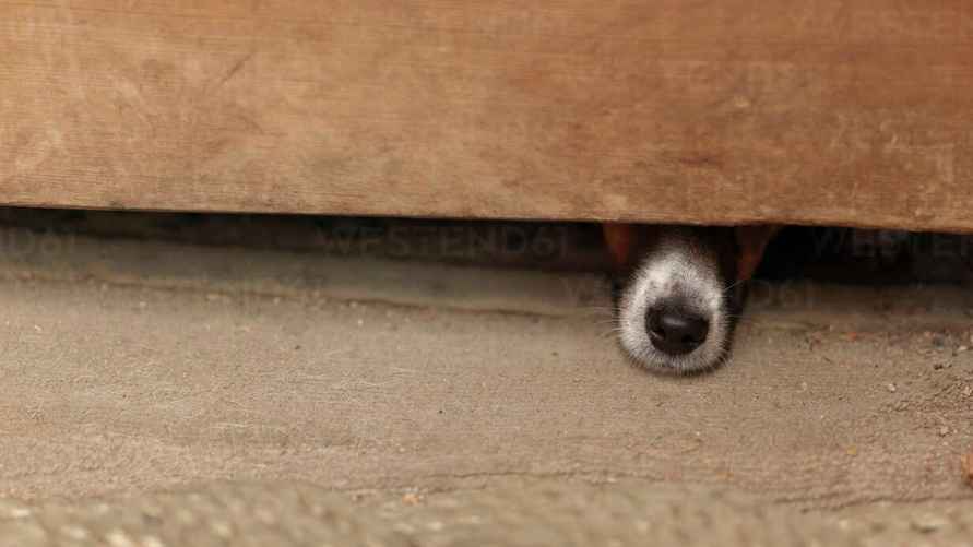 Фото иллюстрационное