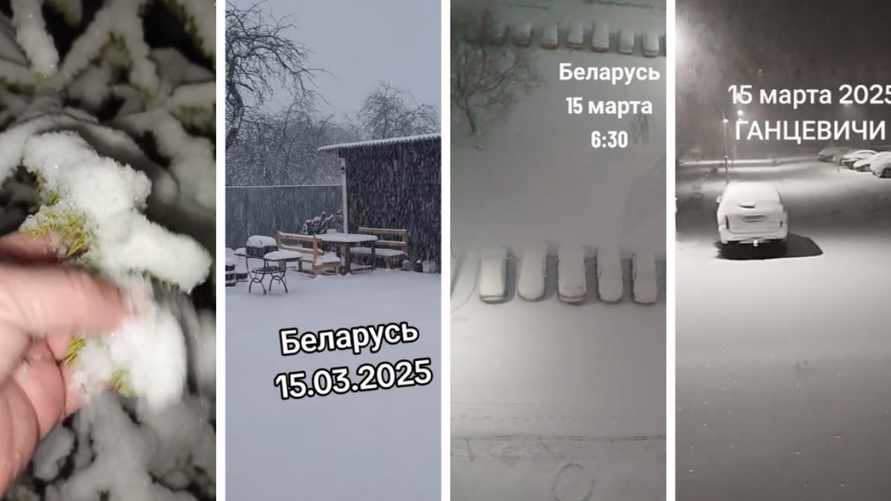 «Сегодня все будут пешеходами» - Белорусы поделили кадрами мартовского снега, которого «выпало больше, чем зимой»
