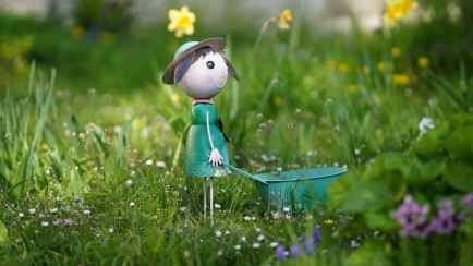 Что нужно купить белорусам к дачному сезону? Wildberries составил список самых популярных товаров