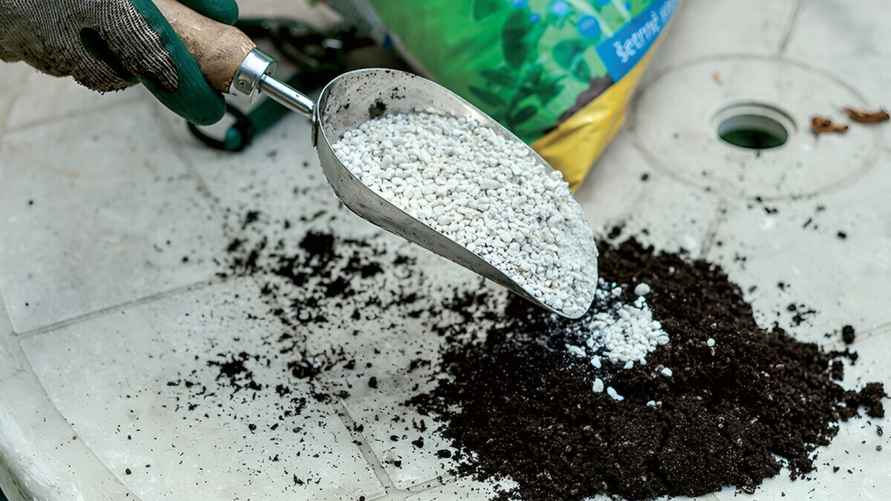 Фото: Shutterstock