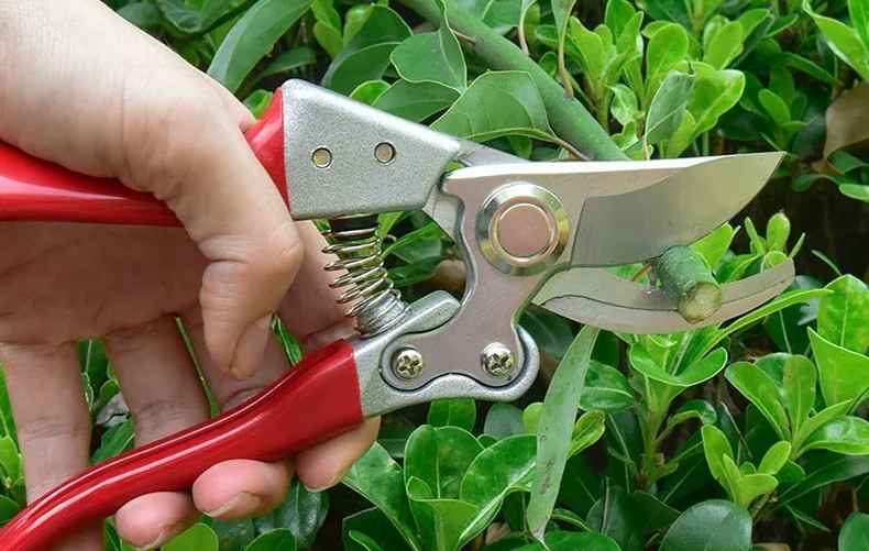 Фото иллюстрационное