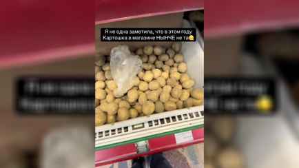 «Надо покупать дачу» — Гомельчанка пожаловались на «не ту» картошку в магазинах. Белорусы из других городов ответили