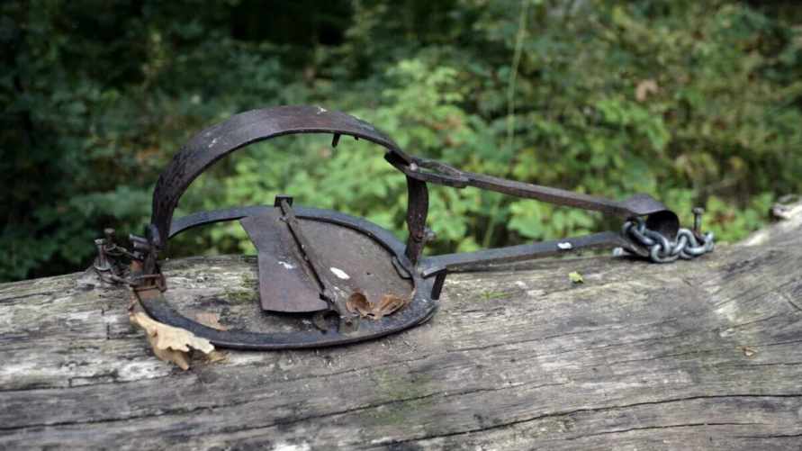 Фото иллюстрационное