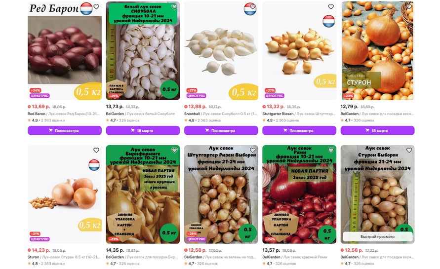 Нашли в Минске лук-севок за 4,9 рубля за кило. Когда лучшие дни для посадки в марте?