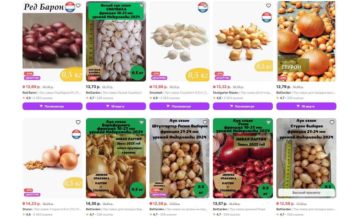 Нашли в Минске лук-севок за 4,9 рубля за кило. Когда лучшие дни для посадки в марте?