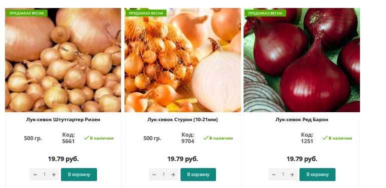 Нашли в Минске лук-севок за 4,9 рубля за кило. Когда лучшие дни для посадки в марте?