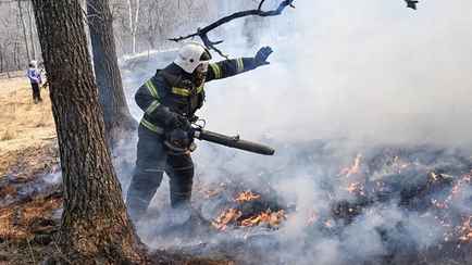 Минлесхоз призвал белорусов не бросаться сразу же тушить пожар. Что попросили сделать в первую очередь?