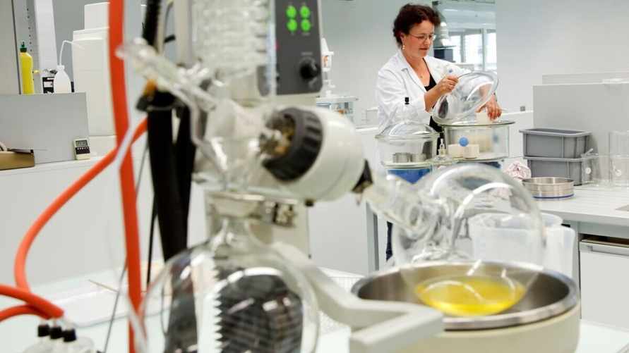 Фото иллюстрационное