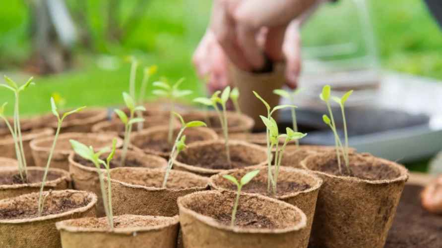 Фото иллюстрационное