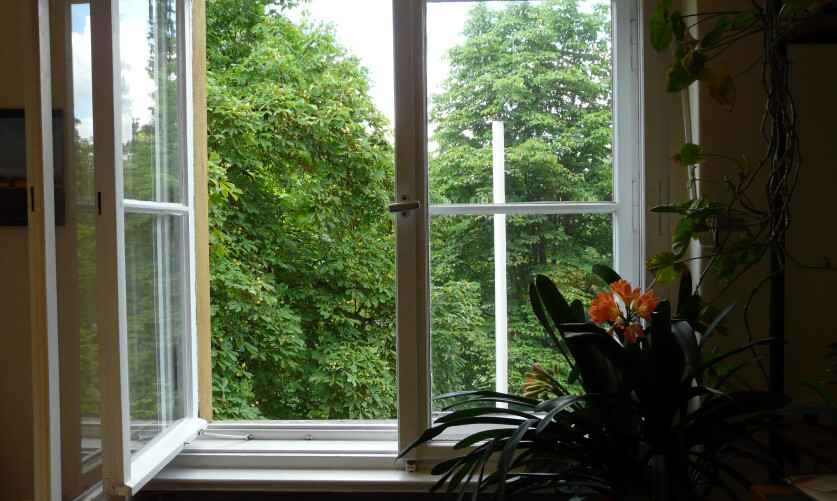 Фото: umweltbundesamt.de