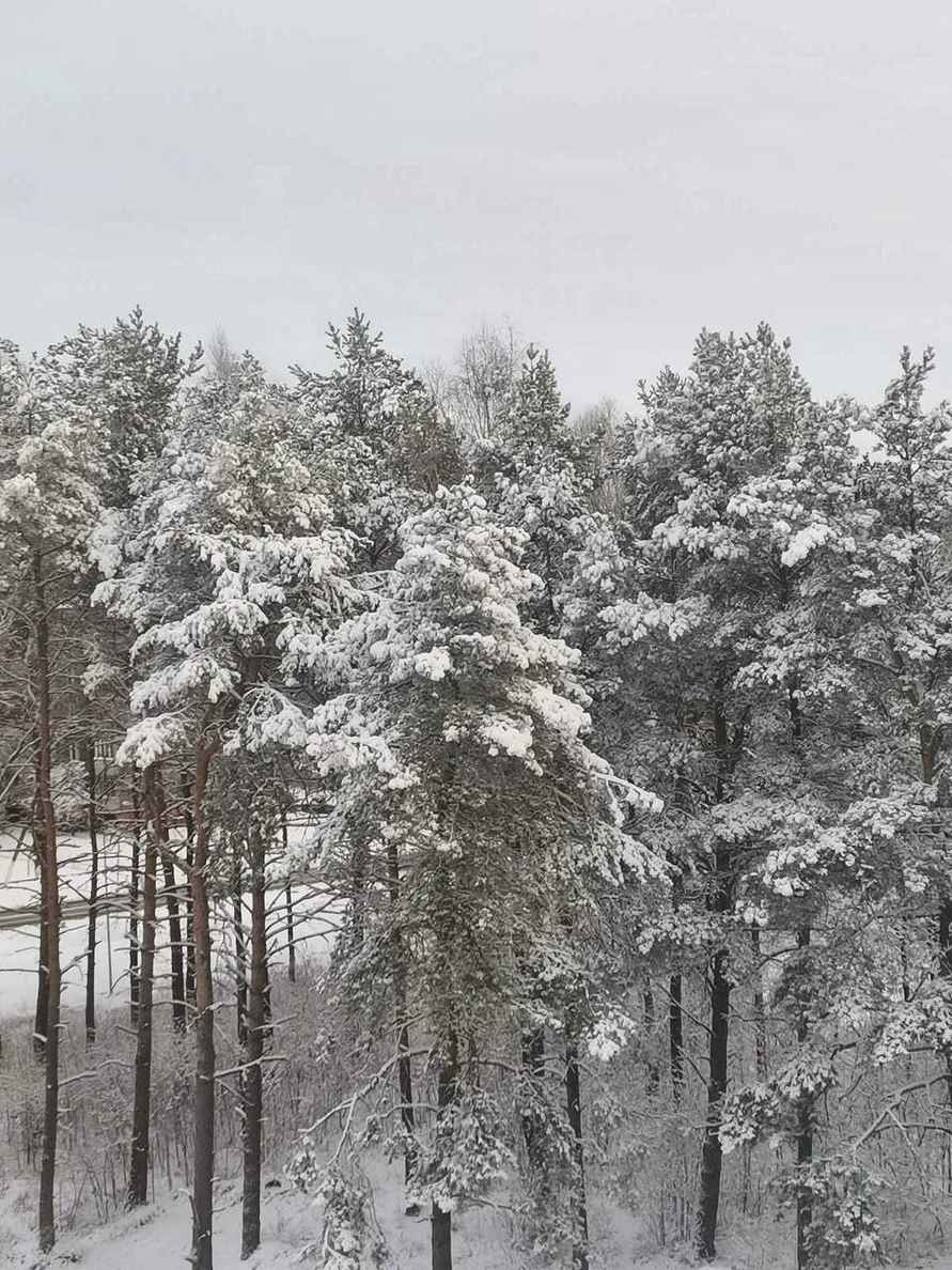 «Сегодня все будут пешеходами» - Белорусы поделили кадрами мартовского снега, которого «выпало больше, чем зимой»