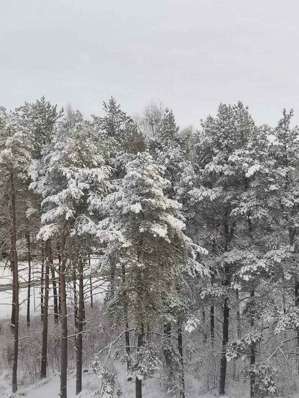 «Сегодня все будут пешеходами» - Белорусы поделили кадрами мартовского снега, которого «выпало больше, чем зимой»