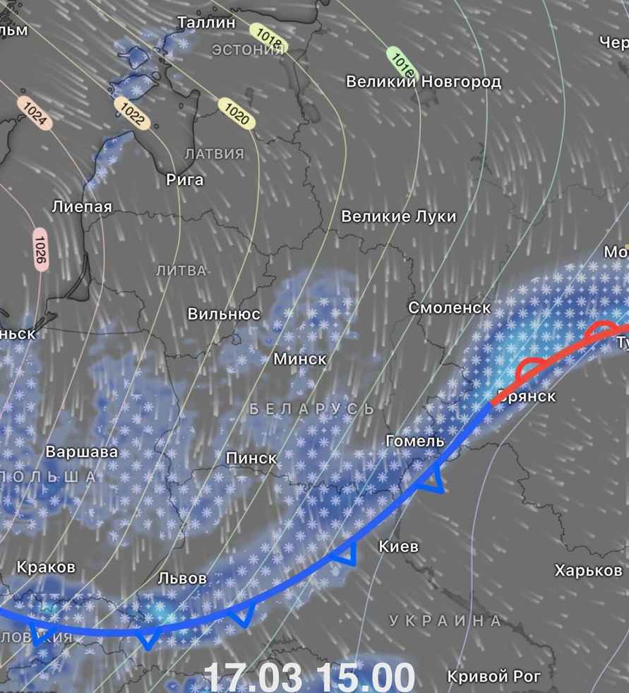 До -14°С и метели. Синоптики назвали самую холодную ночь нынешнего «типичного» марта в Беларуси
