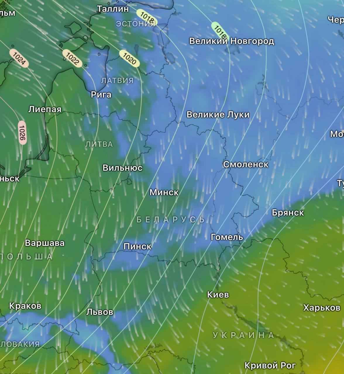 До -14°С и метели. Синоптики назвали самую холодную ночь нынешнего «типичного» марта в Беларуси