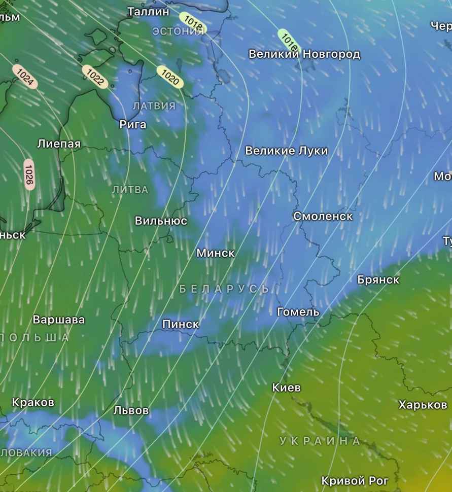 До -14°С и метели. Синоптики назвали самую холодную ночь нынешнего «типичного» марта в Беларуси